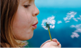 Kinderleichte Vermarktung von Produkten für die Baubranche