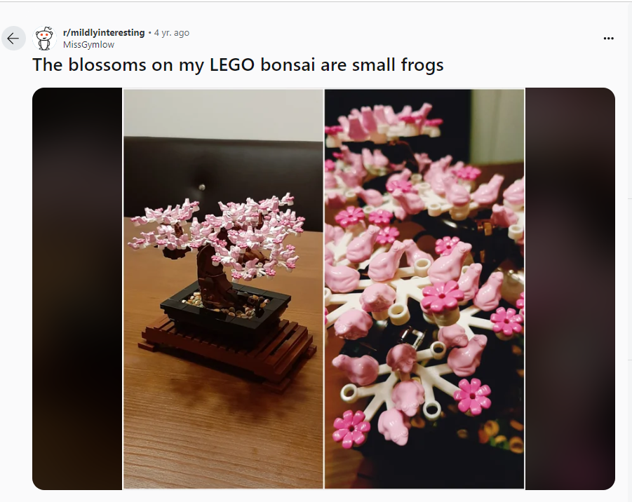 Reddit Screenshot: