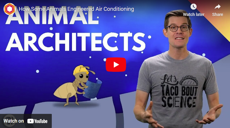 Biomimicry Aa