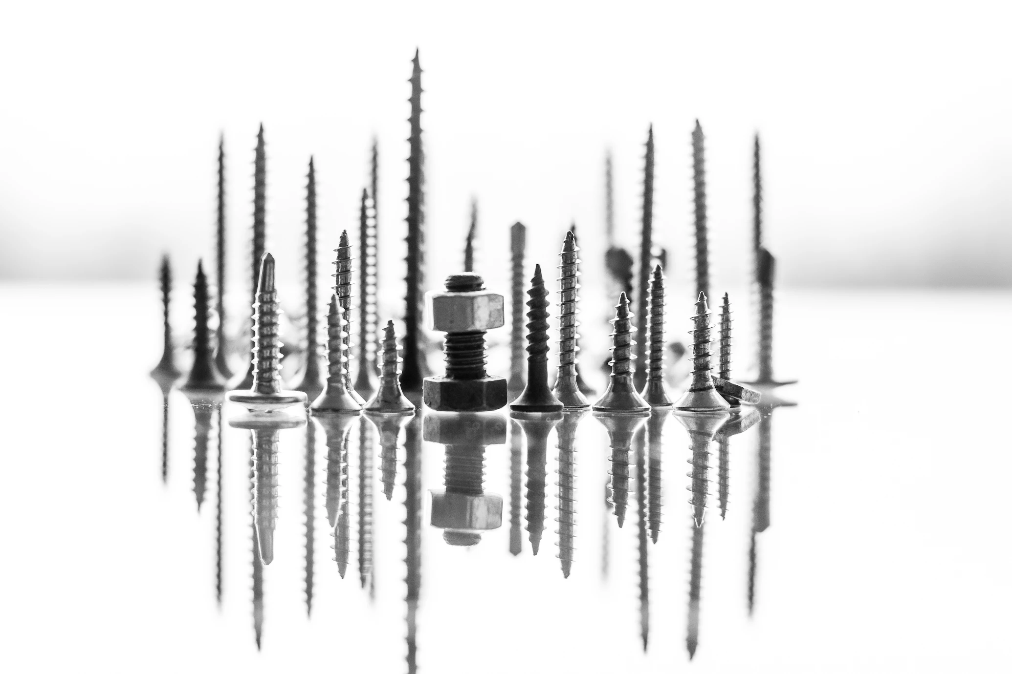 Popular Screw Head Styles And Their Applications