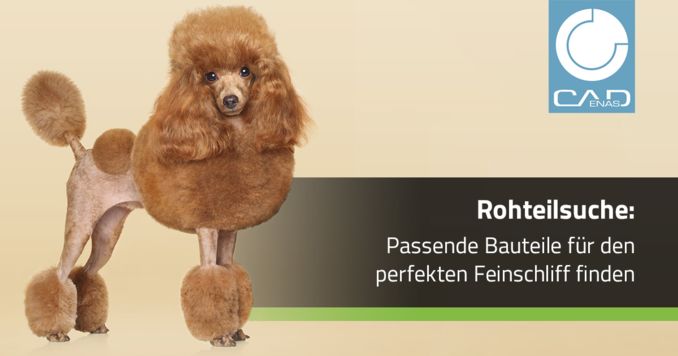 Uploaded from script