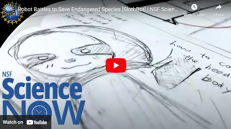 Biomimicry Nsf