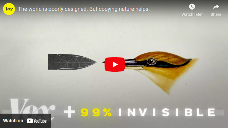 Biomimicry Vox