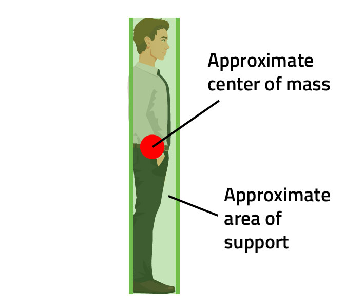 side view of person with center of mass and area of support marked side view of person with center of mass and area of support marked. Engineering a Carnival Scam: The Secret Behind the Carnival Ladder Climb